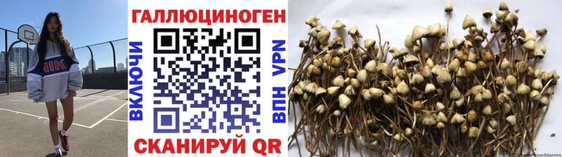 магазин  наркотиков  Луза  Галлюциногенные грибы ЛСД 